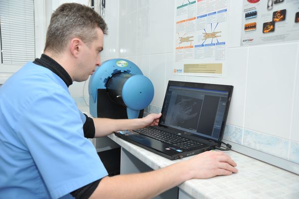 Анализы вет клиника