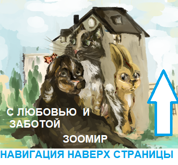 Зоомир