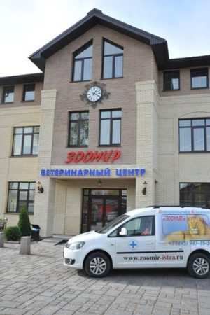 Вет центр Зоомир Истра